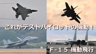 迫力のテストパイロットによる機動！F-15機動飛行　航空自衛隊　Nailed it! Test Pilot's Maneuver! F-15 Fighter Maneuver Flight JASDF