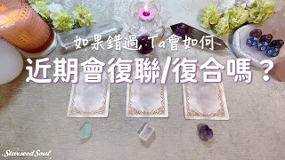 💛塔羅占卜| 水逆進行時：如果錯過，Ta會如何？|近期是否會復聯/復合？Ta的心裡話？(Timeless)