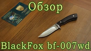 BlackFox bf 007wd