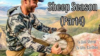 Hunting'The Country: Sheep Season (Part 4)