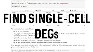 Find Differentially Expressed Genes (DEGs) | scRNA-Seq Analysis in Seurat