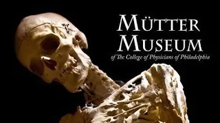 The Mütter Museum