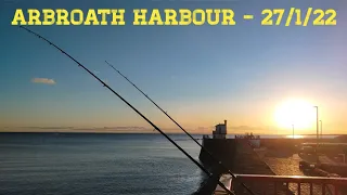 Fishing at Arbroath Harbour - 27/1/22