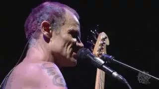 Red Hot Chili Peppers - I Would For You (Jane's Addiction cover) - Lollapalooza 2016