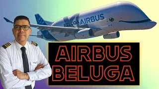 AIRBUS 330 BELUGA ✈ ¡La ballena que transporta aviones! (#211)