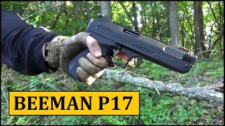 Beeman P17 Pellet Pistol ($40-50) Review - Budget Friendly Air Gun Series