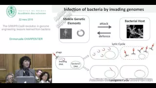 Conférence - E. CHARPENTIER - Le CRISPR Cas9 - La révolution de l'ingénierie génomique