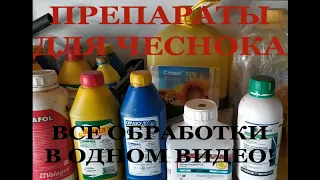 ПРЕПАРАТЫ ДЛЯ ЧЕСНОКА в период вегетации. ВСЕ подкормки и обработки В ОДНОМ ВИДЕО! Состав, сроки.