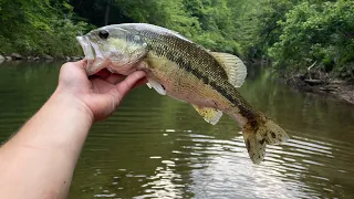 Small River Wade Fishing After Work