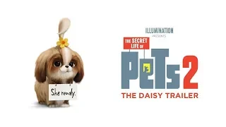 THE SECRET LIFE OF PETS 2 • The Daisy Trailer • Cinetext