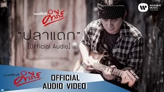 พงษ์สิทธิ์ คำภีร์ - ปลาแดก【Official Audio】