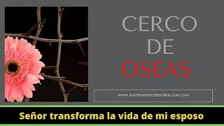 🙌 CERCO DE OSEAS | Oracion para NO divorciarse