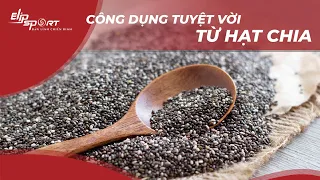 Công Dụng Của Hạt Chia- Tác Dụng Tuyệt Vời Của Hạt Chia Với Sức Khỏe| MỚI NHẤT