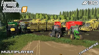 Harvesting sugar beets | The Old Stream Farm | Multiplayer Farming Simulator 19 | Episode 30
