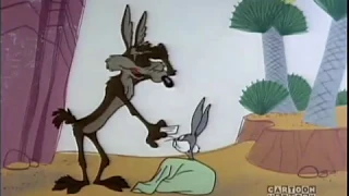 Wile E. Coyote:  Genius