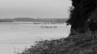 Severn Bore Newnham 12 March 2024