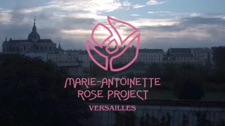 NINA'S Marie-Antoinette & Le Potager du Roi - The Largest Origami Flower- Guinness World Record