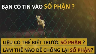 Liệu có thể dự đoán được số phận? Làm thế nào để chống lại số phận? - Vạn vật giác ngộ