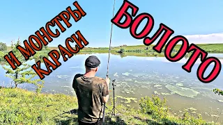 ЗАРОСШЕЕ БОЛОТО И МОНСТРЫ КАРАСИ! РИБАЛКА НА ФЛЕТ!