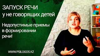 Запуск речи у неговорящих детей. Недопустимые приемы в формировании речи!