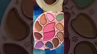 ADS color series make up kit only rs.230.In makeup kit eyeshadow palette 🎨 compact powder brush puff