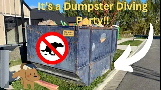 Dumpster Diving for Copper and Building Supplies in NZ