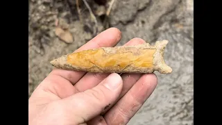 Paleo Faker is Actually Stunning Graham Cave! IL Arrowhead Hunting