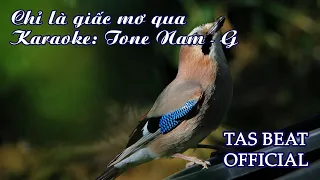 Karaoke Chỉ là giấc mơ qua - Tone Nam | TAS BEAT