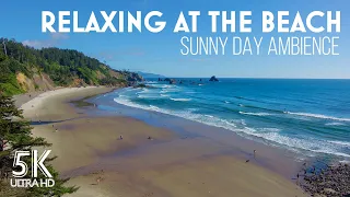 Sunny Day at the Beach - 8 Hours Ocean Waves & Seagull Sound - Relaxing Nature Ambience