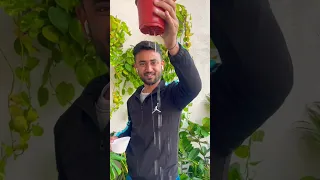 when your plant need repotting? #shorts #shortsvideo #plants