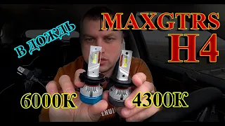 LED лампы MAXGTRS H4 4300K и 6000К поражают в ДОЖДЬ своим СВЕТОМ