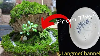 Miniature Moss Garden | Upcycle Moss Garden | Trending Garden2022 #mosstrending22 @langmechannel