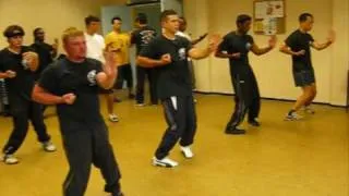 Leo Chinese Kung Fu Institute: Wing Chun Classes in London by Sifu Leo Au Yeung (倫敦詠春課堂)