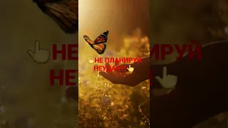 👆НЕ ПЛАНИРУЙ НЕУДАЧУ!!! ЧАСТЬ 1