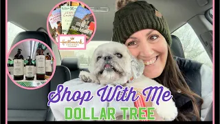 ✨WOW✨ DOLLAR TREE SHOP WITH | You Won’t Believe What I Found For $1.25 | SO GOOD!!!