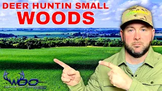 Hunting Deer In Areas With Small Woods & Fields