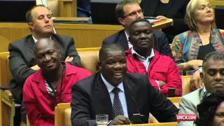 Mbalula told me to stay away of Mbeki's recall - Malema