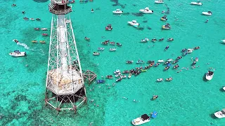 Swimming with Barracudas and Sharks at Alligator Reef