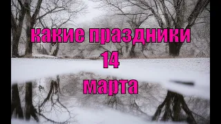 какой сегодня праздник?  14 марта  праздник каждый день  праздник к нам приходит  есть повод