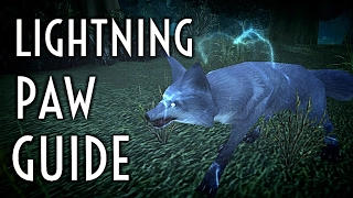 WoW Guide - Lightning Paw Spirit Beast - Hunter Pet