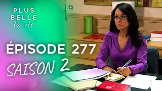 PBLV - Saison 2, Épisode 277 | Rachel est de retour