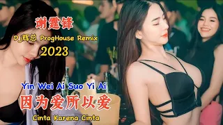 谢霆锋 - 因为爱所以爱 - (Dj辉总 ProgHouse Remix 2023) - Yin Wei Ai Suo Yi Ai - Cinta Karena Cinta #dj抖音版2023