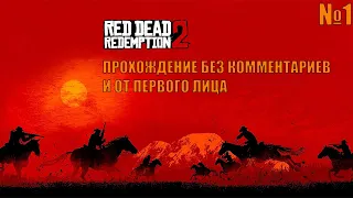 Прохождение Red Dead Redemption 2 / Без комментариев / От первого лица / Глава 1