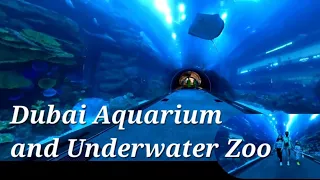 Underwater Zoo | Dubai Aquarium - part 1 || The Dubai Mall Tour