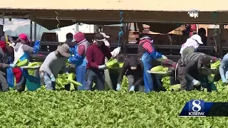 Salinas teen co-writes first-of-its-kind national resolution to honor farmworkers