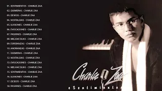 Lo Mejor De Charlie Zaa - Charlie Zaa Grandes Exitos - Charlie Zaa Sentimientos Full Album 1996