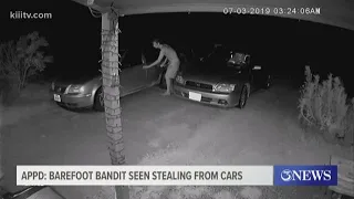 Aransas Pass Police Department looking for barefoot bandit seen stealing from cars