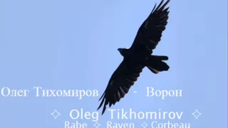 Олег Тихомиров - Ворон  Oleg Tikhomirov - Raven
