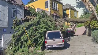 With more rain approaching, San Franciscans clean up after Saturday soaking
