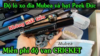 Mua van Cricket 2024 miễn phí độ lò xo đĩa Mubea và hạt peek xịn ĐỨC / Hướng dẫn AE chưa biết độ van